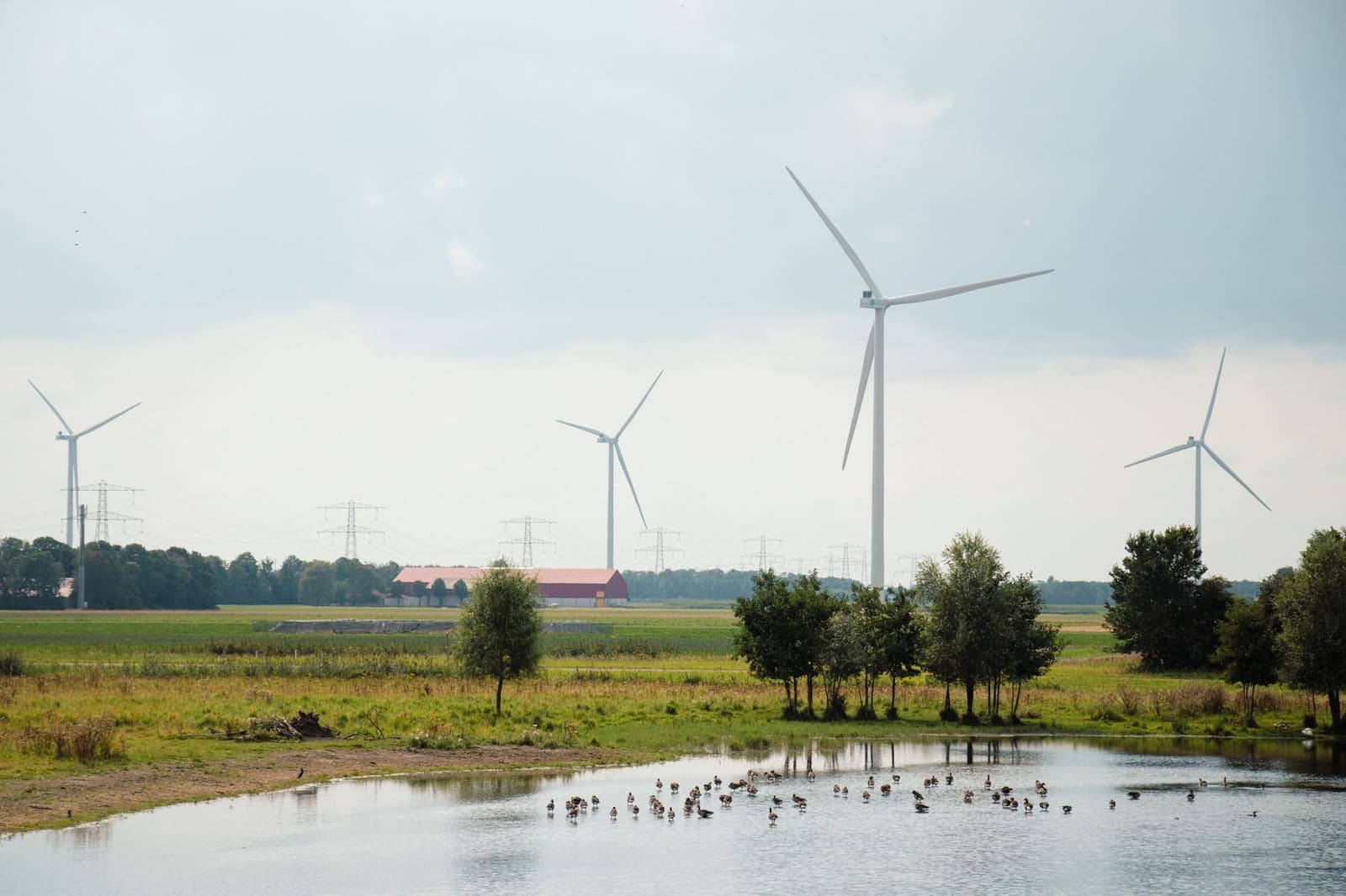 Windmolens in een Nederlands polderlandschap met water op de voorgrond